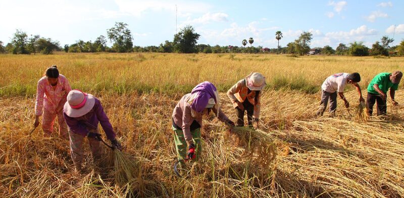 EIB’s EUR 51m loan to back 200,000 Cambodian families