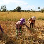 EIB’s EUR 51m loan to back 200,000 Cambodian families