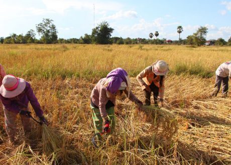 EIB’s EUR 51m loan to back 200,000 Cambodian families