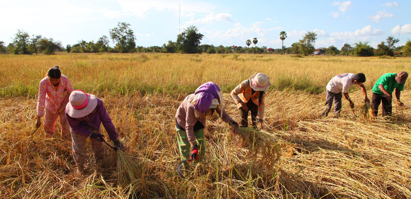 EIB’s EUR 51m loan to back 200,000 Cambodian families