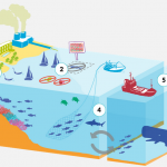Global oceans economy can up to $ 3 trillion in 2030
