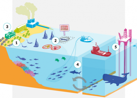 Global oceans economy can up to $ 3 trillion in 2030
