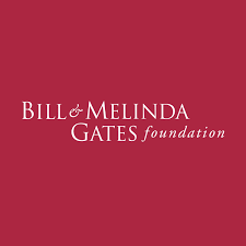 Gates foundation earmarks $20m to help Africa, Asia confront coronavirus