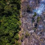 UAE, UNEP launch IRIS-3 for better environmental reporting