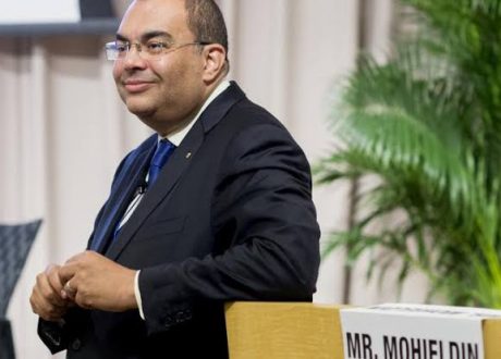 Egypt’s Mohieldin named UN Special Envoy