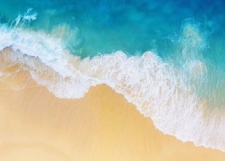 Nestlé commits CHF 1.6 m for fighting ocean pollution