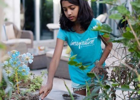 UAE launches ‘Children’s Environment Award’
