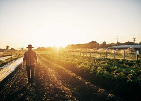 Canada commits to sustainable agriculture