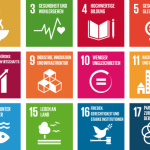 UNDP, UAE’s DIEDC partner to boost Islamic economy’s contribution to SDGs