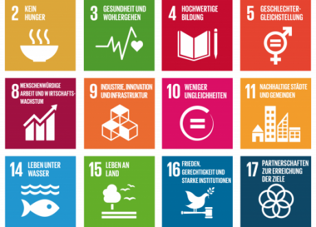 UNDP, UAE’s DIEDC partner to boost Islamic economy’s contribution to SDGs