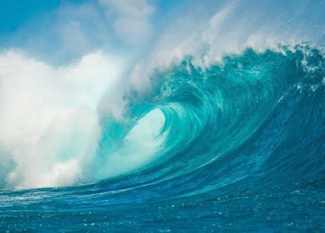 Austral chief recognised in global award for ocean sustainability