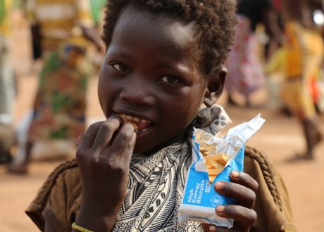 Japan extends $1m to address malnutrition in Sudan’s Darfur