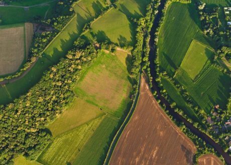 Nestlé, Unilever, 3 other firms share best climate-related practices