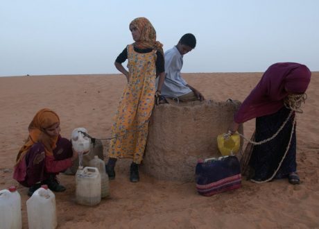 UN agencies need $15m to support Algerian refugee camp in face of COVID-19