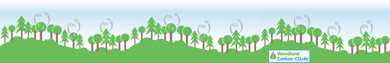 £10m for boosting tree planting in UK