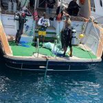 Egypt’s “Go Green” engages for 1st time in protecting biodiversity
