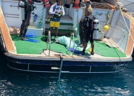 Egypt’s “Go Green” engages for 1st time in protecting biodiversity