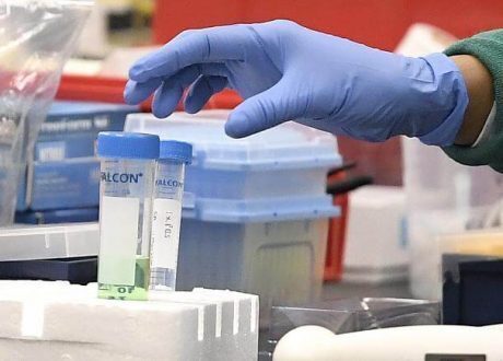 The race to find a COVID-19 vaccine