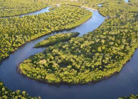 L’Oréal sites to be carbon free by 2025