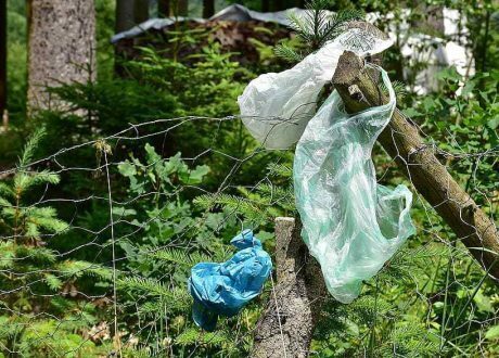 كينيا تحظر استخدام البلاستيك في مناطق المحميات الطبيعية
