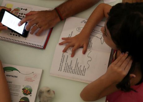 UNESCO organizes online seminar on “Education in Emergency Situations”