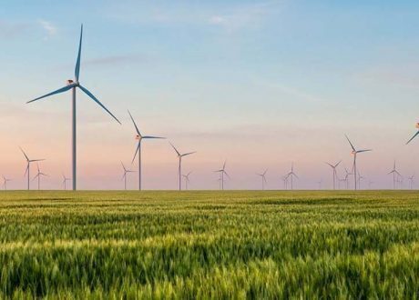 Nestlé joins ‘Race to Zero’ for sustainability