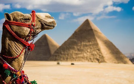 المجلس العالمي للسياحة والسفر يصنف مصر كوجهة آمنة وصحية