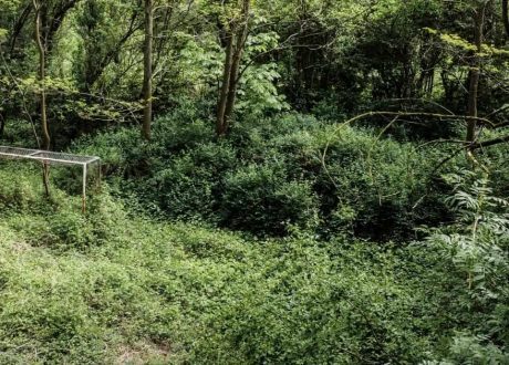 FIFA to step up environment protection efforts under SDGs