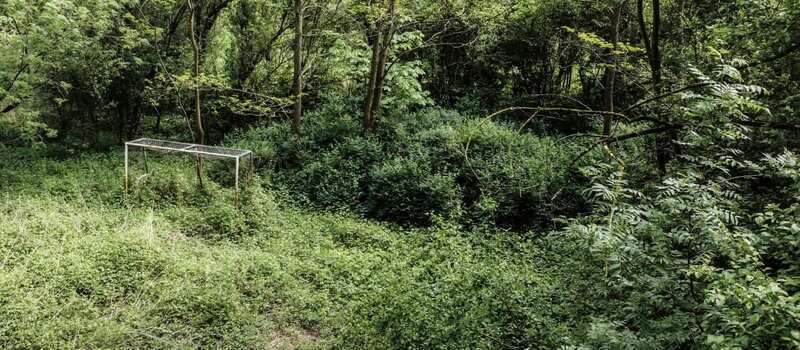FIFA to step up environment protection efforts under SDGs