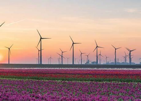 EBRD to allocate over 50% of its investments to green economy by 2025