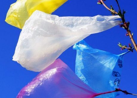 Clock ticking for millions to join Plastic Free July Challenge