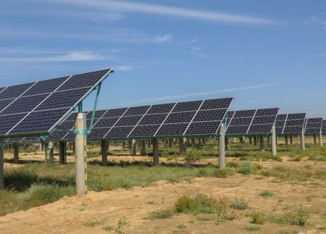 UNDP: Shifting to green economy “urgent” to avoid future pandemics