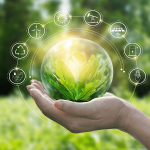 Egypt taking great strides towards sustainability, green economy