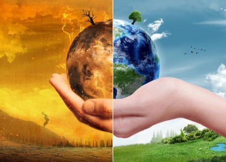 البيئة: وضع المعايير الخضراء ضمن خطّة الدولة الاستثمارية لمواجهة التغيرات المناخية