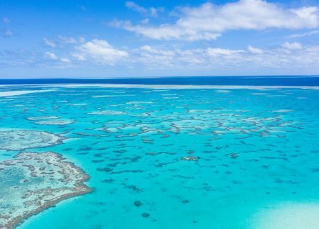 Sydney Univ. committed to sustainability, climate action
