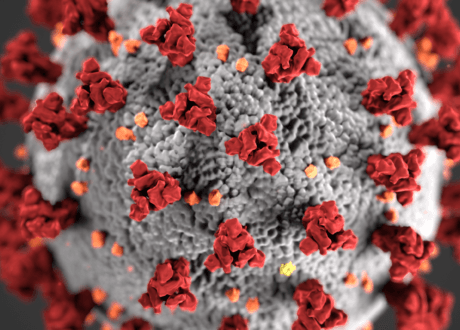 Vaccine maker backed by Bill & Melinda Gates soars 40%