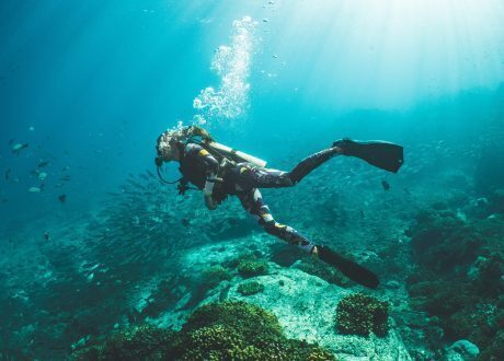 Cornwell’s diving business on course for plastic-free future with HSBC UK Funding 