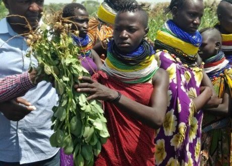 IKEA extends $3.5 m to support FAO efforts in E.Africa