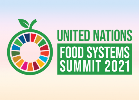 1st-ever UN Food Systems Summit vital for SDGs