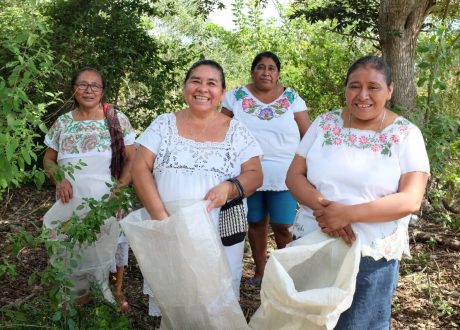Mexico issues groundbreaking SDG Bond at $890 million