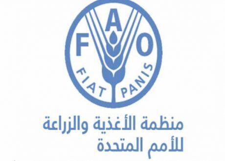 «الفاو» تطلب تغيير النظم الغذائية لتحقيق التنمية المستدامة