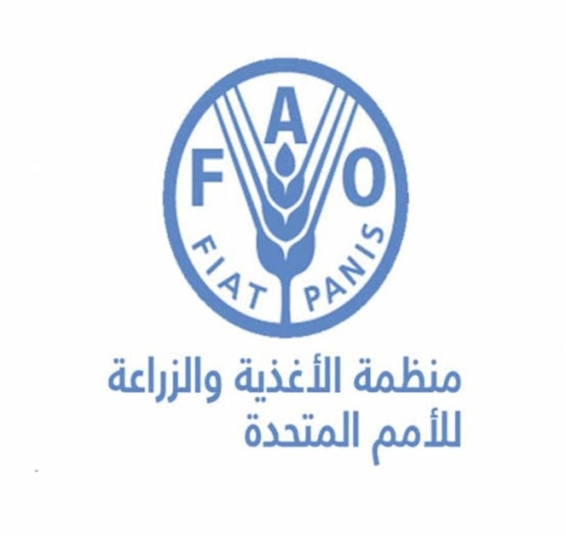 «الفاو» تطلب تغيير النظم الغذائية لتحقيق التنمية المستدامة