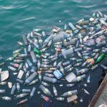 Egypt accelerates anti-plastic drive.. WEF applauds