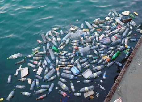 Egypt accelerates anti-plastic drive.. WEF applauds