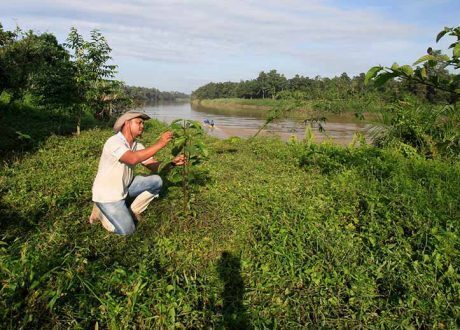 Nestlé earmarks CHF 4 m to plant 3 million trees in Malaysia