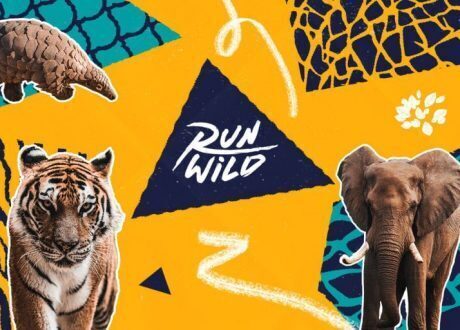 Adidas, UNEP spearhead Run Wild challenge