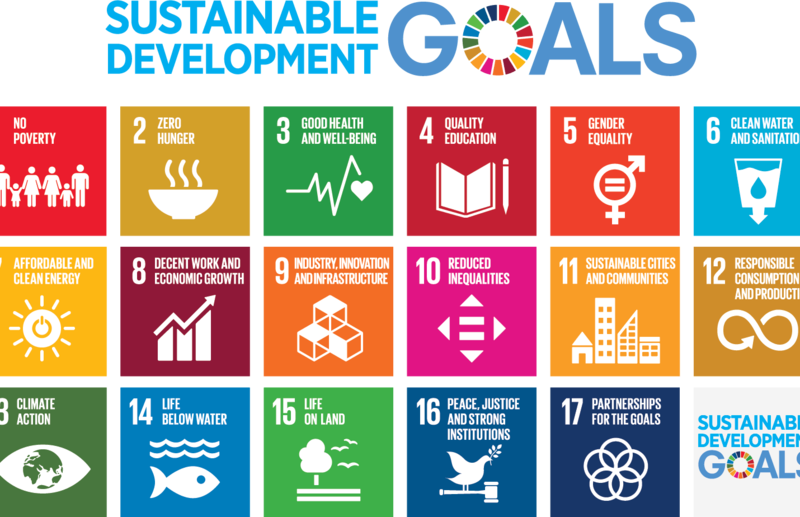 ESCWA: Egypt tops Arab countries in implementing SDGs