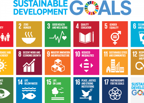 ESCWA: Egypt tops Arab countries in implementing SDGs