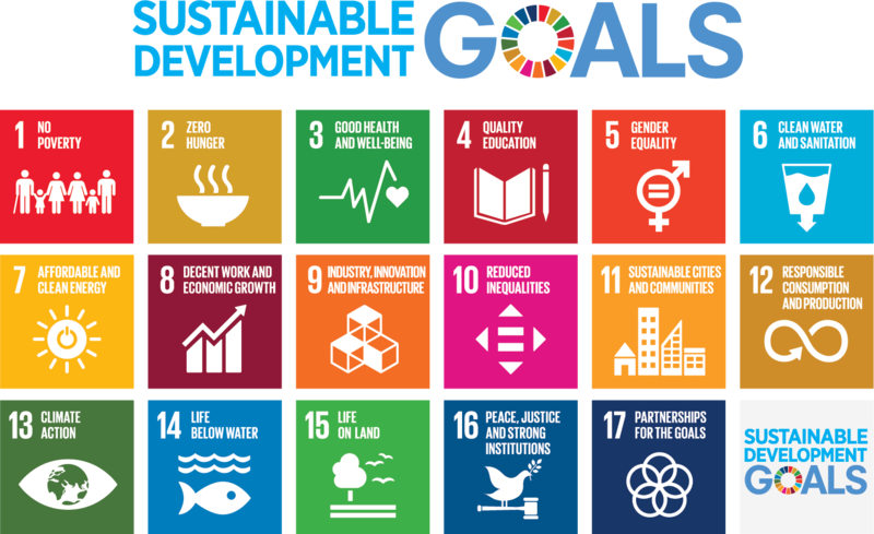 ESCWA: Egypt tops Arab countries in implementing SDGs