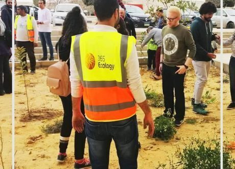 ضمن مسئوليتها المجتمعية.. «365 إيكولوجي» تقوم بزراعة 100 شجرة للحفاظ على البيئة